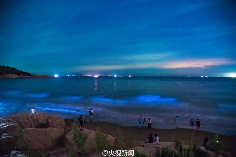 动物帮帮忙保卫家园