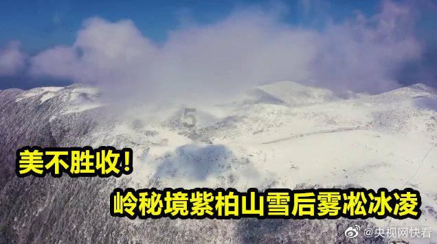 移动的靶心5无敌版