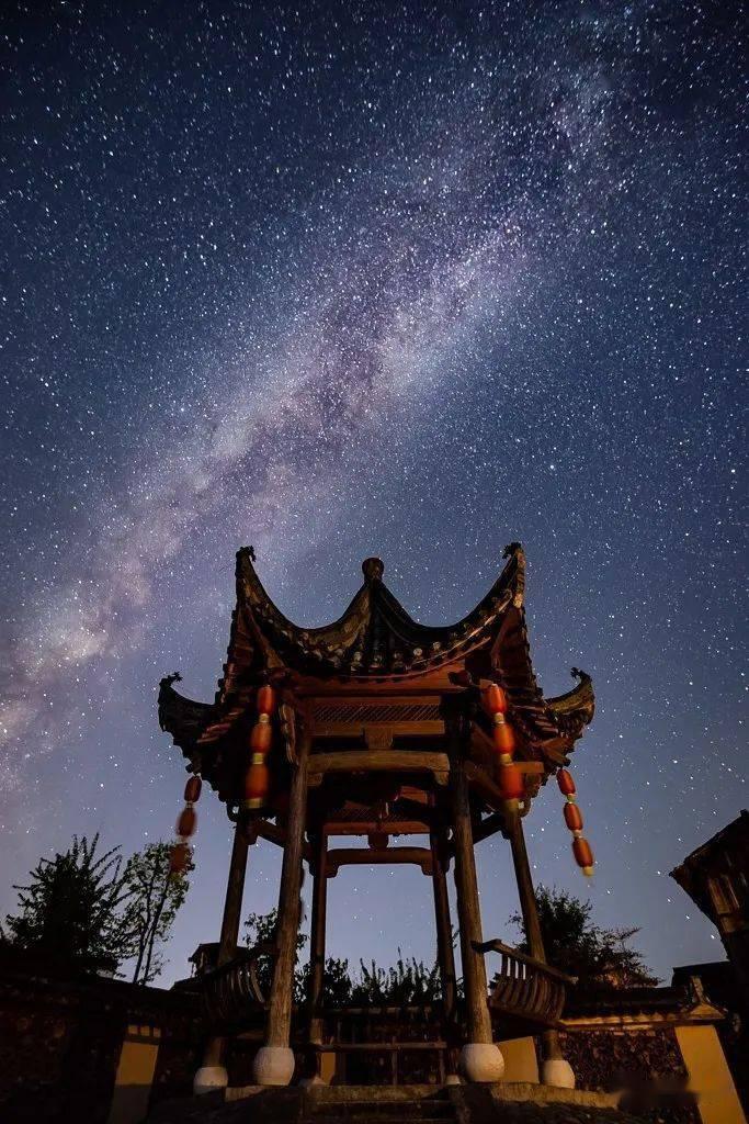 危险森林大逃脱