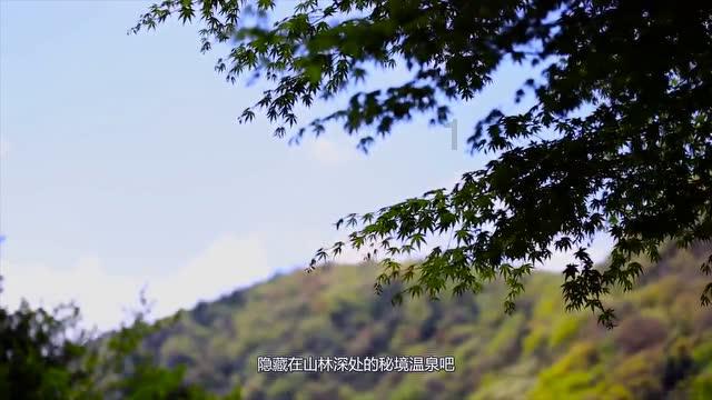 “这大哥偷了我2次啊！”济南警方：拘留，监控视频曝光