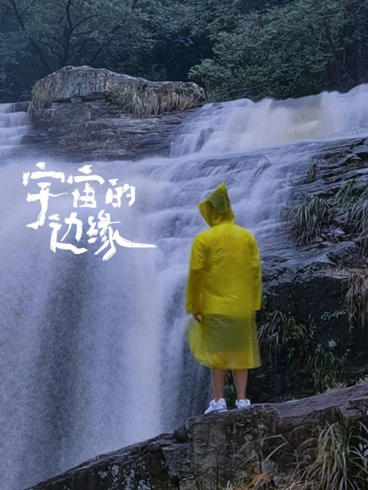 强大的狮子拼图
