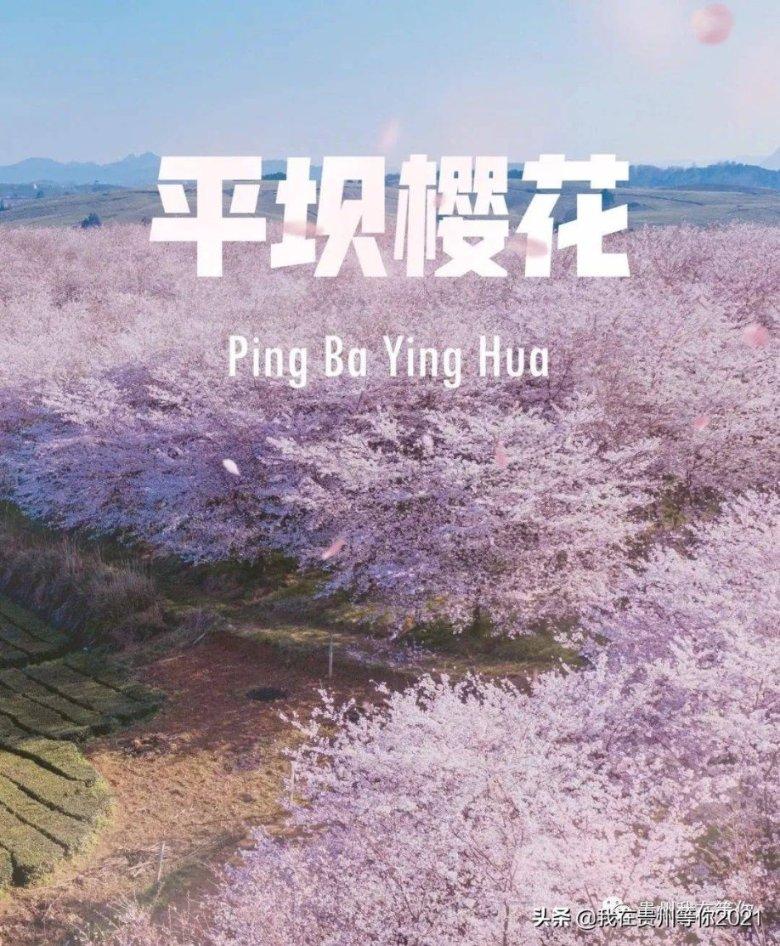 巴西女婴出生时仍裹在羊膜囊内，概率仅8万分之一，能否称为医学奇迹？游戏画面