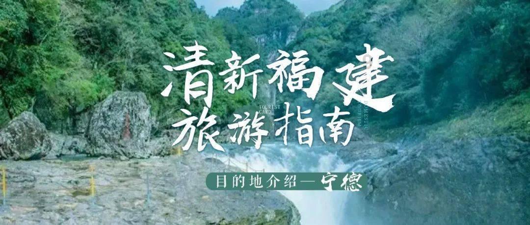 花语月