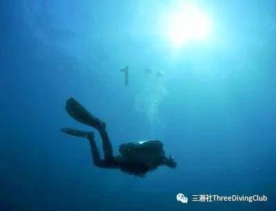 蓝狐视频