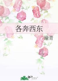 拉票虽然被广泛批评但是依然大量使用