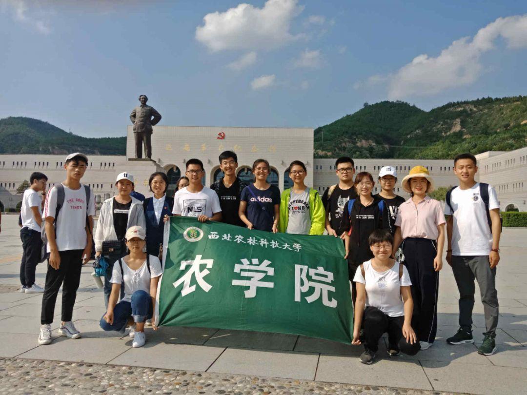 快刺水果