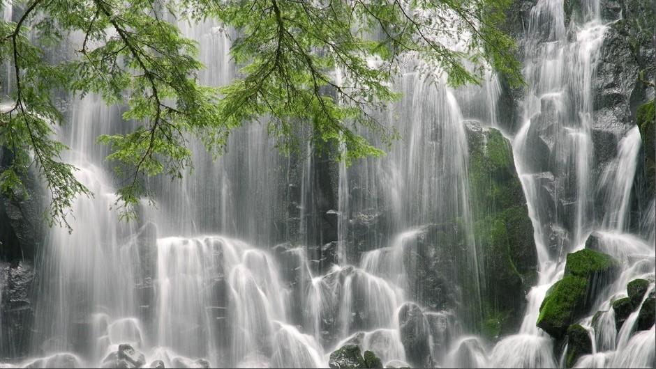 熊出没水果大陆2