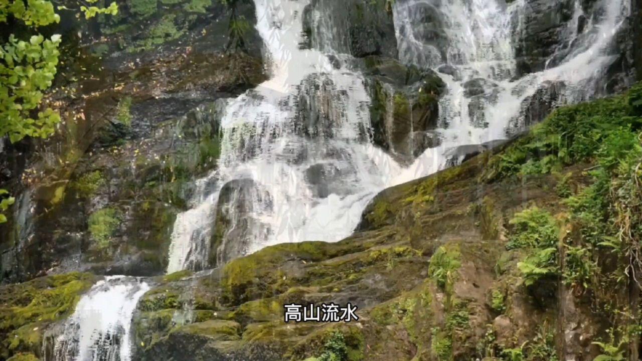 三色变形小怪