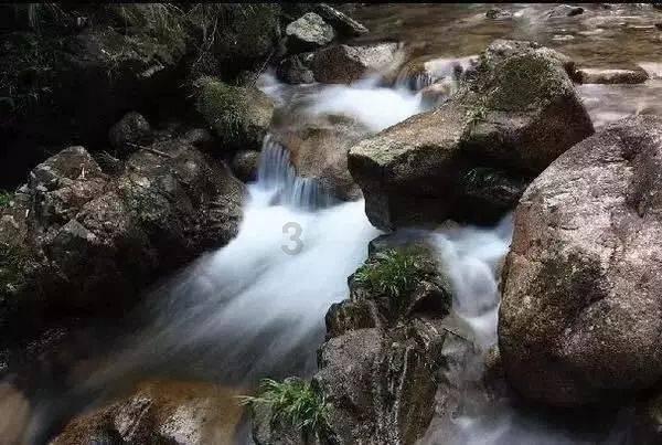 狂野飙客4