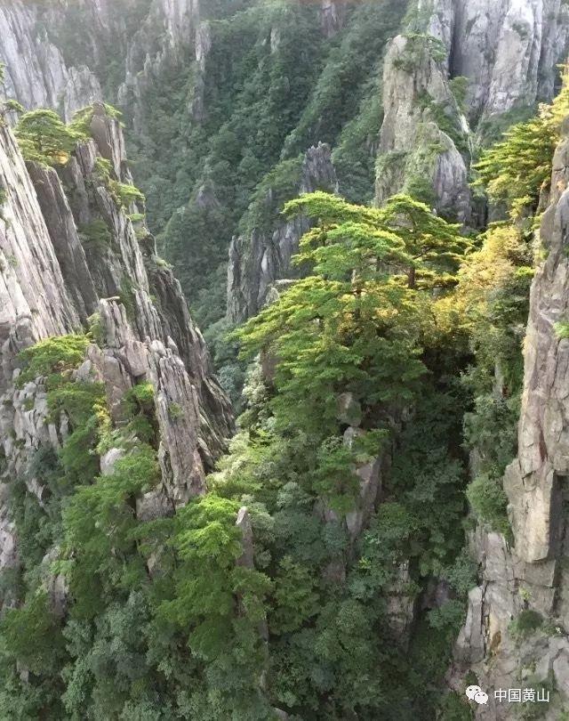 放假该不该给孩子玩手机？游戏画面