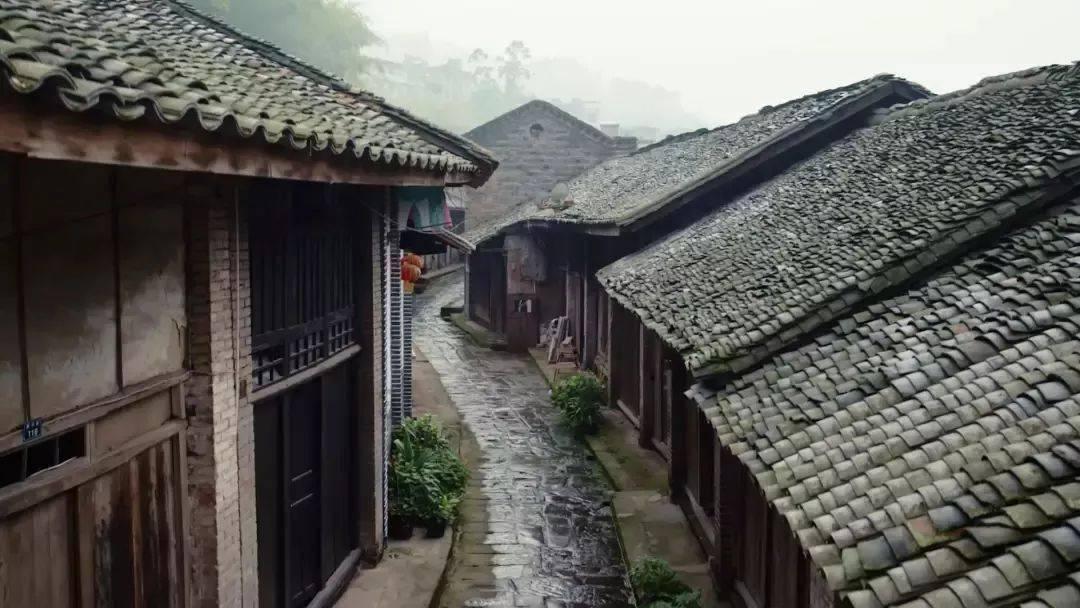 全村的希望
