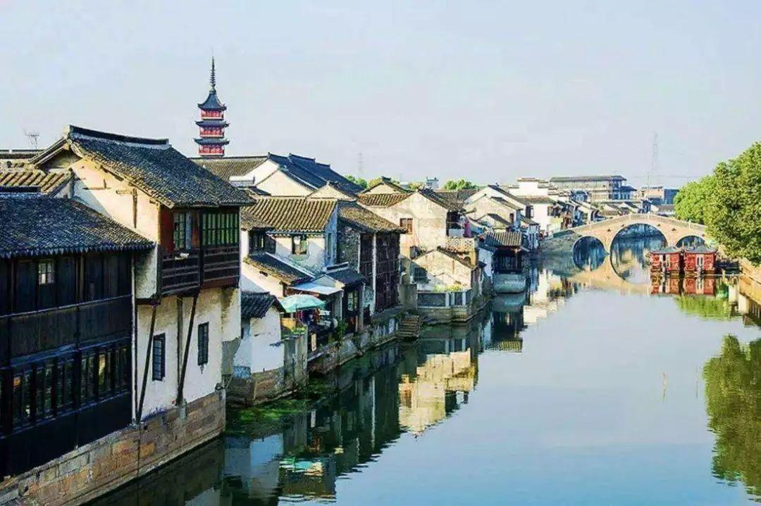 厉害了我的巧虎7