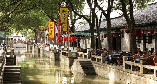 动物帮帮忙保卫家园